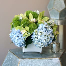 Blue hydrangeas and green orchids in a white square vase