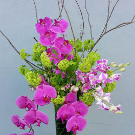 Pink orchids and green blooms in a tall glass vase