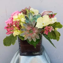 Succulent and mixed flower arrangement in a square glass vase