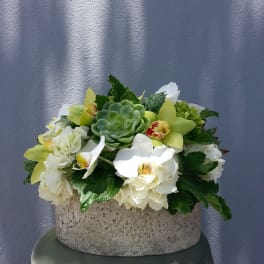 White orchids and hydrangeas arranged around a green succulent in a stone bowl