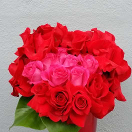 Red and pink roses arranged in a red vase