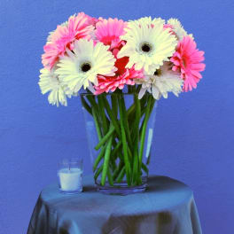 Pink and white gerbera daisies in a clear glass vase with a small candle