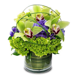 Green orchids and purple flowers in a glass vase