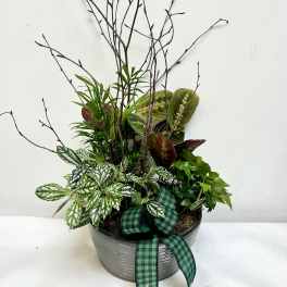 Potted mixed foliage arrangement with a green plaid ribbon