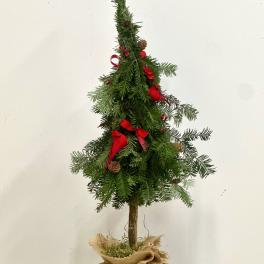 Classic Evergreen Limited Collection by Westford Florist Art by Veny