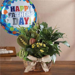 1-800-Flowers® European Dish Garden™ For Dad