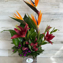 Tropical flower arrangement with orange bird-of-paradise and red lilies in a square vase