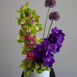Purple and green orchid arrangement in a white pot