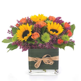 Sunflower and orange rose arrangement in a square vase with a ribbon