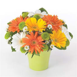 Bouquet of orange, yellow, and white daisies in a lime green vase