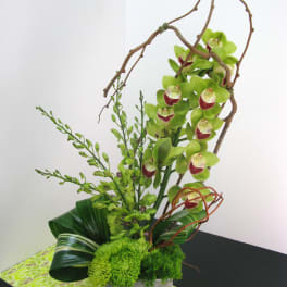 Tall green orchid arrangement in a square silver vase