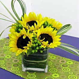 Sunflower arrangement in a square glass vase with green accents