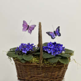Violet Garden Basket by Westford Florist Art by Veny