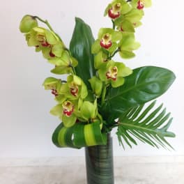 Green orchid arrangement in a tall glass vase with tropical leaves