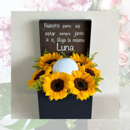 Sunflowers arranged around a white sphere in a black box with Spanish text.