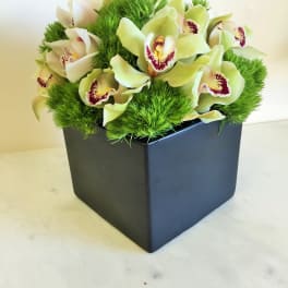 Green and white orchid arrangement in a black square vase