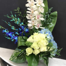Arrangement of white orchids, pale roses, blue hydrangea, and blue orchids