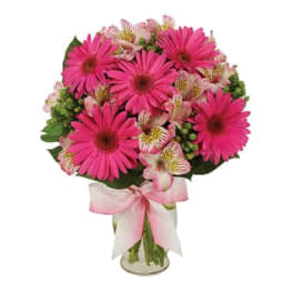 Pink gerbera daisies and alstroemeria in a glass vase with a pink ribbon