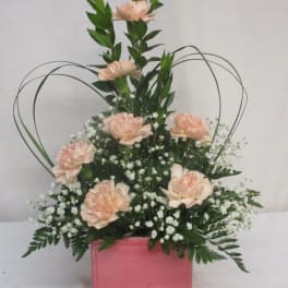 Peach carnations in a pink box with white filler flowers