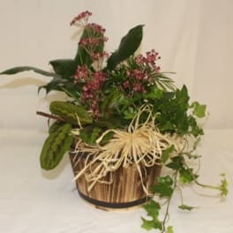Mixed green plants with small pink flowers in a rustic wooden basket with raffia bow