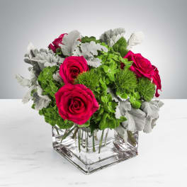 Bright pink roses with green dianthus and silvery foliage in a clear glass cube vase