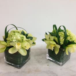 Two small floral arrangements in square glass vases with pale yellow orchids and green blooms.