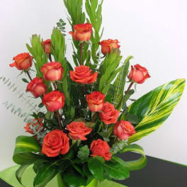 Arrangement of orange roses in a bright green pot with tall green accents and striped leaves