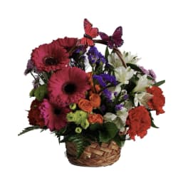 Basket arrangement of pink gerberas, orange roses, white lilies, and butterflies