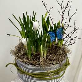 Rustic Bulb Garden by Westford Florist Art by Veny