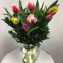 Bouquet of multicolored tulips in a clear glass vase