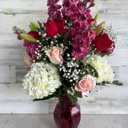Bouquet of red and pink roses with white hydrangeas in a burgundy vase