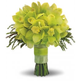 Hand-tied bouquet of bright green cymbidium orchids wrapped with green ribbon