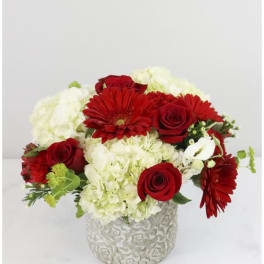 Red roses and gerbera daisies in a white textured vase with white hydrangeas