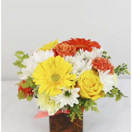 Bright mixed flower arrangement in a square glass vase