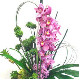 Pink orchids in a tall white vase with green accents