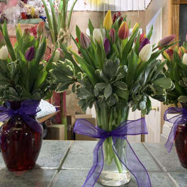 Three mixed-color tulip arrangements in glass vases with purple ribbon bows