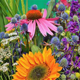 Bright mixed bouquet with pink and orange coneflowers and purple blooms