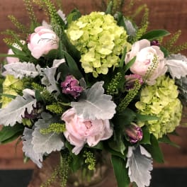 Bouquet of pale pink peonies and lime hydrangeas with silver foliage