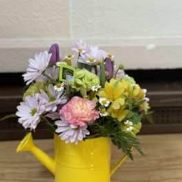 April Showers Watering Can