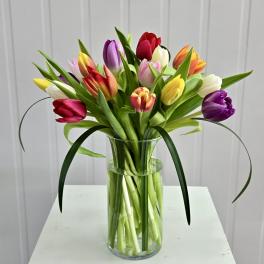 Colorful tulips arranged in a clear glass vase