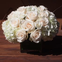 White roses and hydrangeas arranged in a square vase