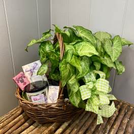 Wicker basket with a leafy plant, ribbon, and small gift items