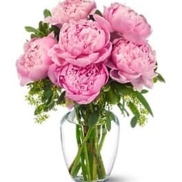Peonies in Pink Bouquet