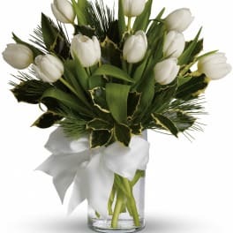 White tulips arranged in a glass vase with a white ribbon