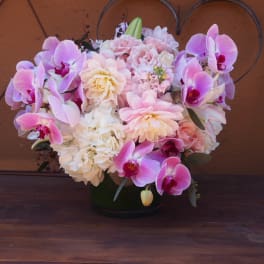 Pink and white orchid arrangement in a dark vase