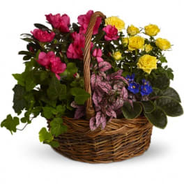 Basket of pink and yellow flowers with assorted foliage
