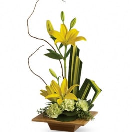Yellow lilies in a wooden vase with green accents