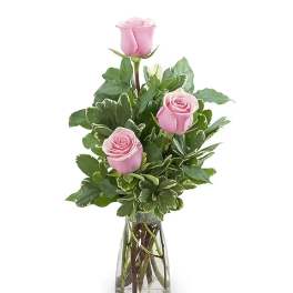 Pink roses arranged in a clear glass vase with greenery