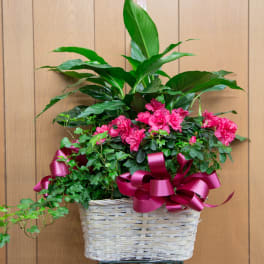 Pink flowers in a woven basket with a large green plant