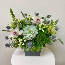 Mixed floral arrangement in a dark square vase with white orchids and a pale succulent